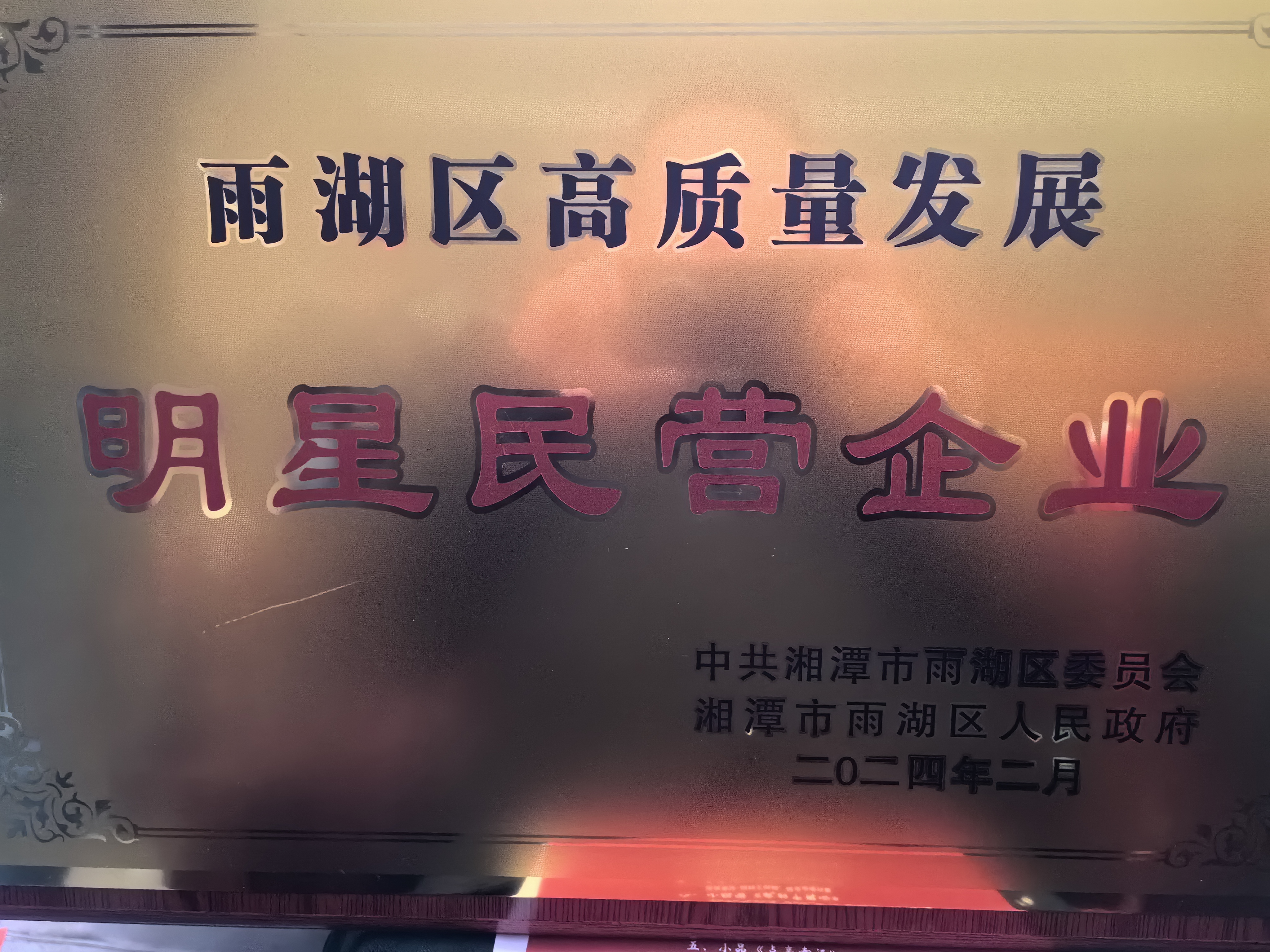 乐鱼官网网页版_乐鱼（中国）官方
荣获“雨湖区高质量发展明星民营企业”称号